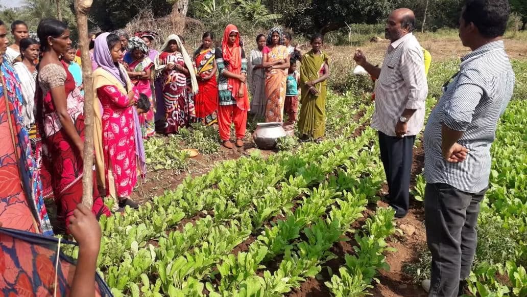 Key Achievements gallery image 1