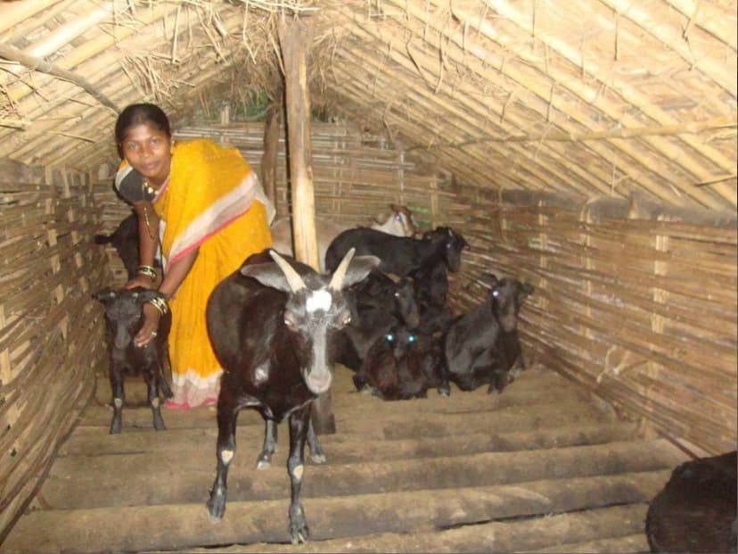 Project PREM-ABF: Cultivating Sustainable Livelihoods and Rural Empowerment gallery image 8