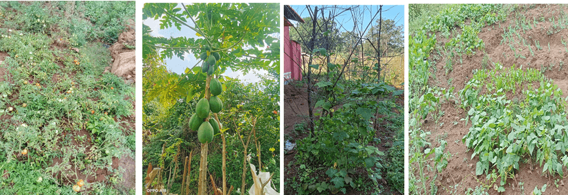 Project PREM-Educo: Protecting Childhood, Empowering Futures gallery image 50