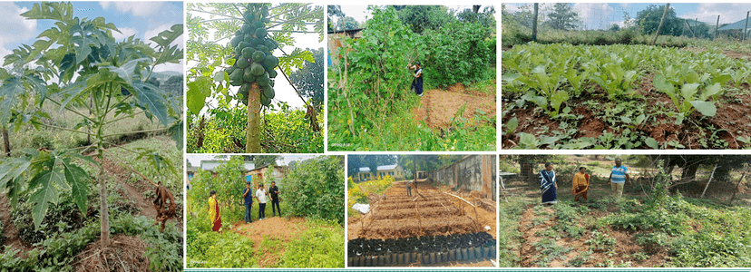 Project PREM-Educo: Protecting Childhood, Empowering Futures gallery image 51